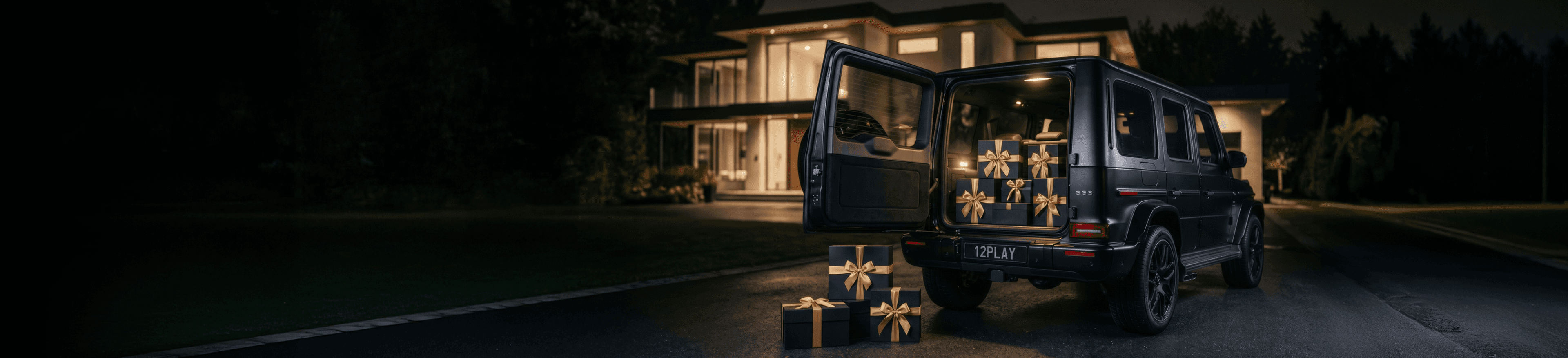 Promo Banner